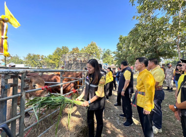 พิธีการมอบโค มอบสัญญายืมเพื่อการผลิตตามโครงการธนาคารโค - ... พารามิเตอร์รูปภาพ 10